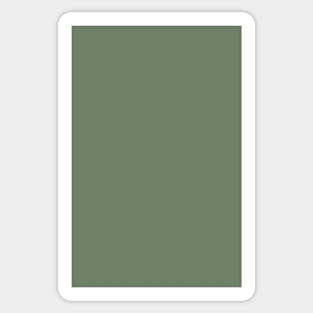 sage green Sticker